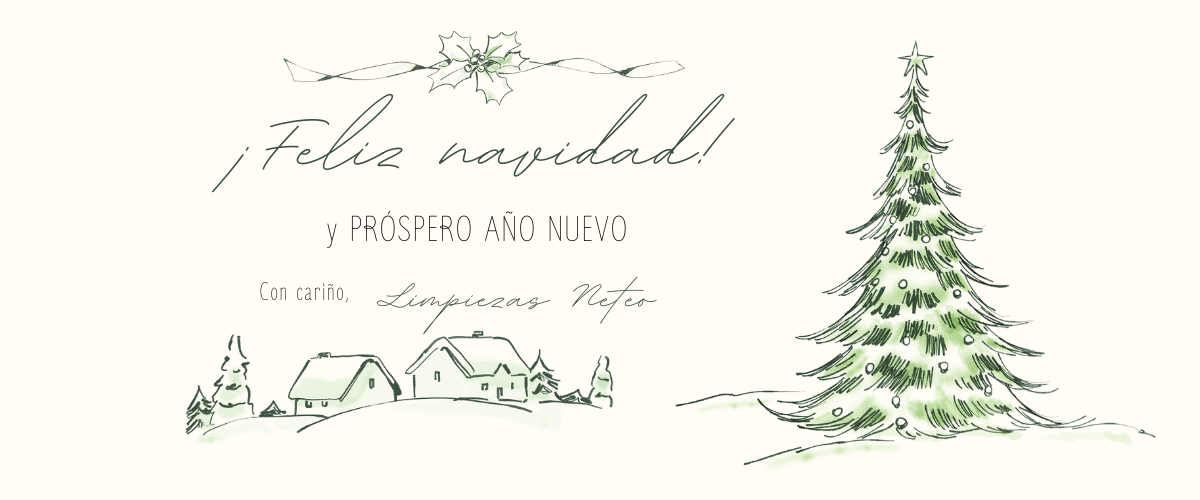 navidad neteo